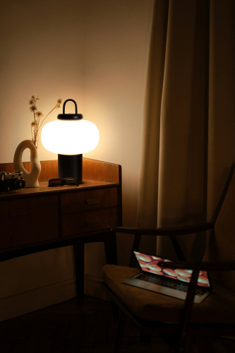 Настольный светильник Freya FR6175TL-L10B фото 8